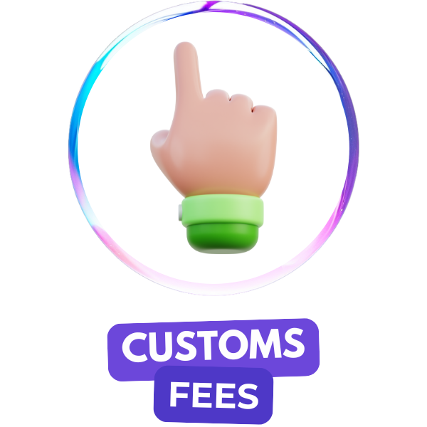 customs fees icon